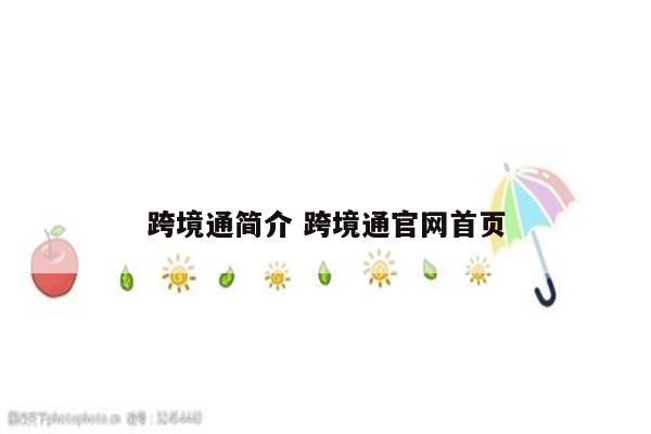 跨境通简介 跨境通官网首页