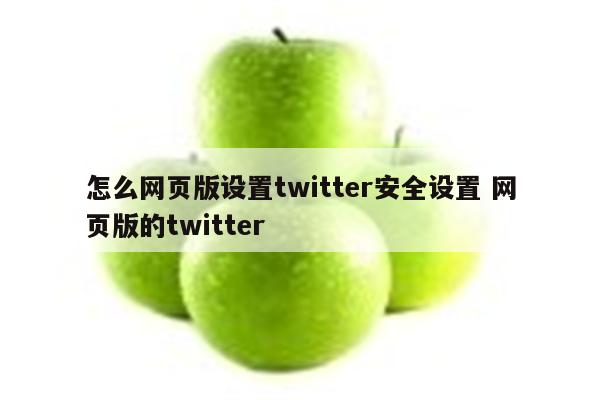 怎么网页版设置twitter安全设置 网页版的twitter