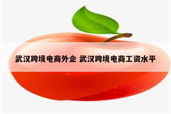 武汉跨境电商外企 武汉跨境电商工资水平