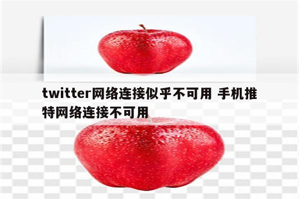 twitter网络连接似乎不可用 手机推特网络连接不可用