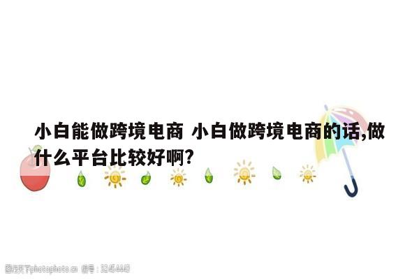 小白能做跨境电商 小白做跨境电商的话,做什么平台比较好啊?