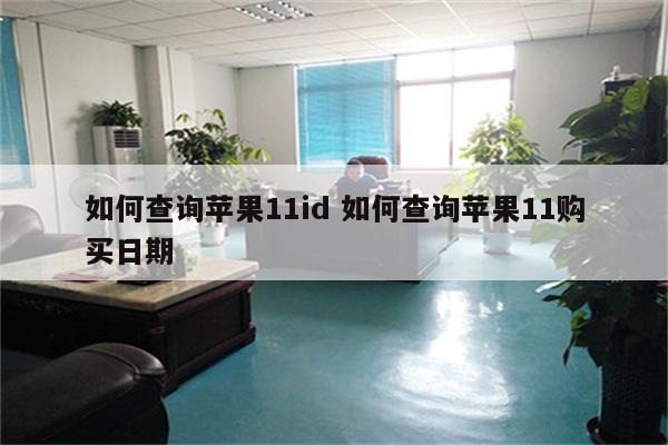 如何查询苹果11id 如何查询苹果11购买日期