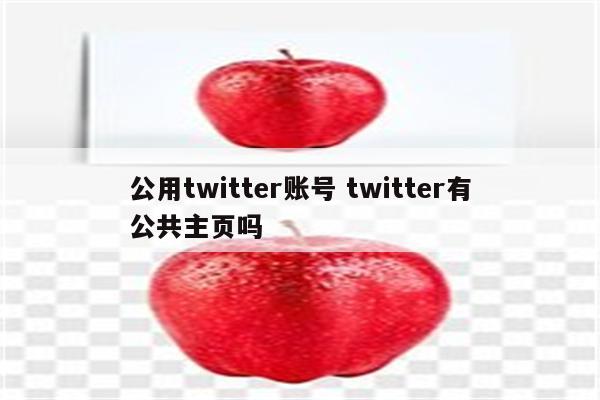 公用twitter账号 twitter有公共主页吗