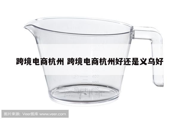 跨境电商杭州 跨境电商杭州好还是义乌好