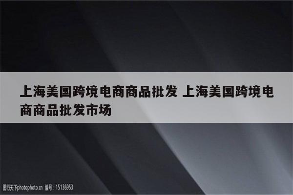 上海美国跨境电商商品批发 上海美国跨境电商商品批发市场