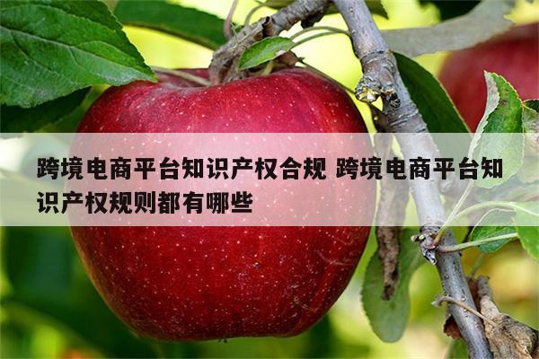 跨境电商平台知识产权合规 跨境电商平台知识产权规则都有哪些