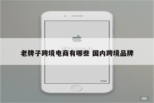 老牌子跨境电商有哪些 国内跨境品牌