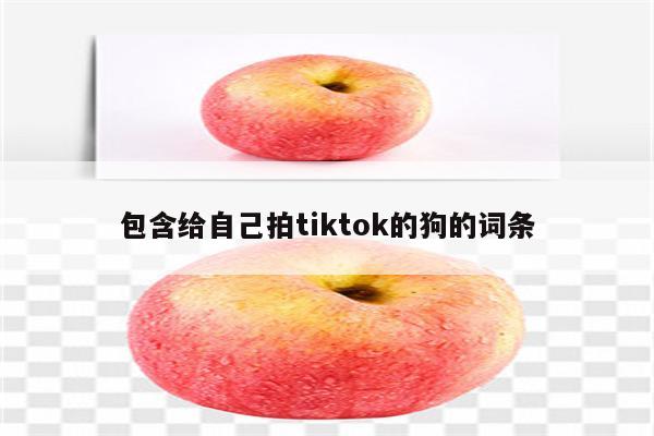 包含给自己拍tiktok的狗的词条