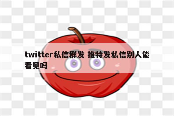 twitter私信群发 推特发私信别人能看见吗
