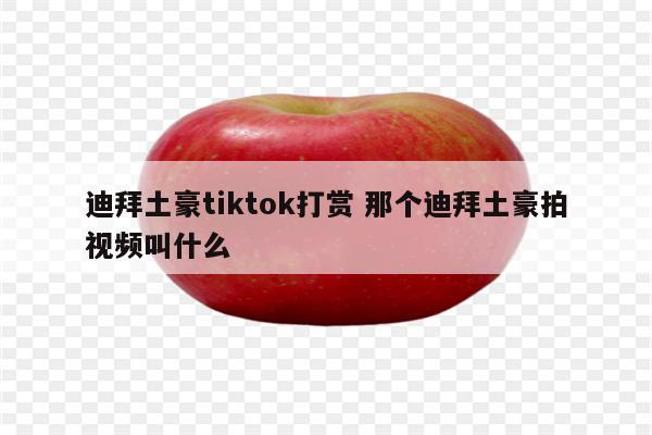 迪拜土豪tiktok打赏 那个迪拜土豪拍视频叫什么