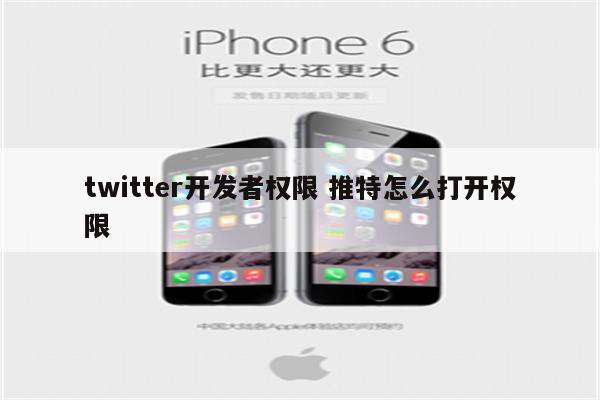 twitter开发者权限 推特怎么打开权限