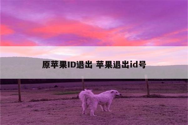 原苹果ID退出 苹果退出id号