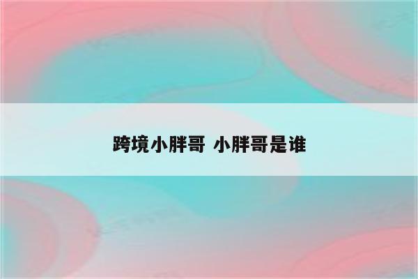 跨境小胖哥 小胖哥是谁