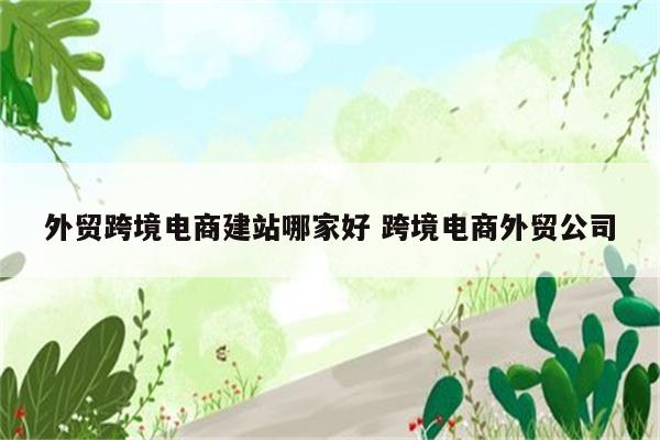 外贸跨境电商建站哪家好 跨境电商外贸公司