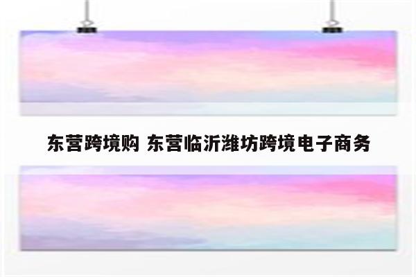东营跨境购 东营临沂潍坊跨境电子商务