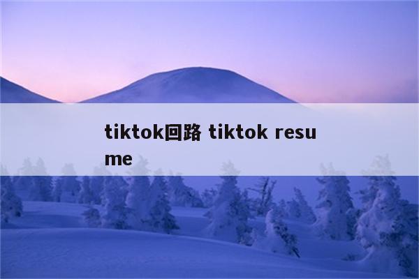 tiktok回路 tiktok resume