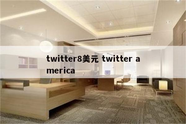 twitter8美元 twitter america