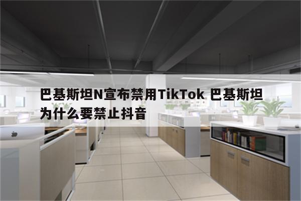 巴基斯坦N宣布禁用TikTok 巴基斯坦为什么要禁止抖音