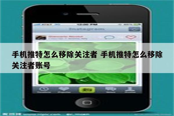 手机推特怎么移除关注者 手机推特怎么移除关注者账号