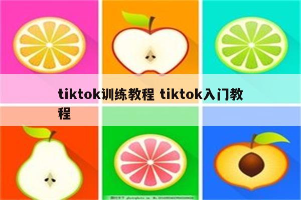 tiktok训练教程 tiktok入门教程