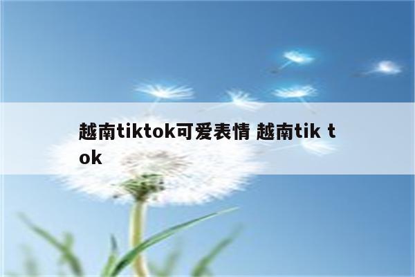 越南tiktok可爱表情 越南tik tok