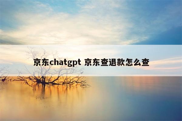 京东chatgpt 京东查退款怎么查