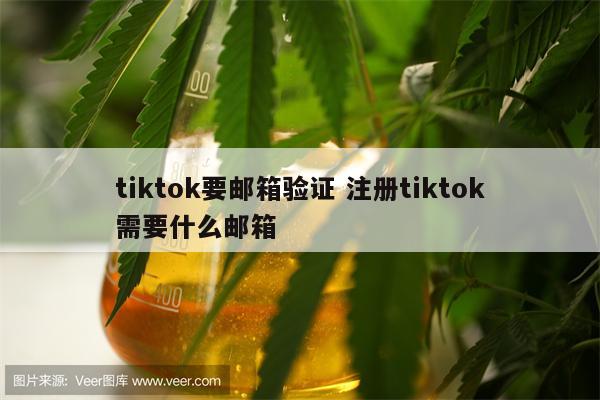 tiktok要邮箱验证 注册tiktok需要什么邮箱