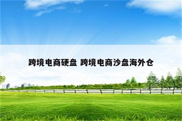 跨境电商硬盘 跨境电商沙盘海外仓