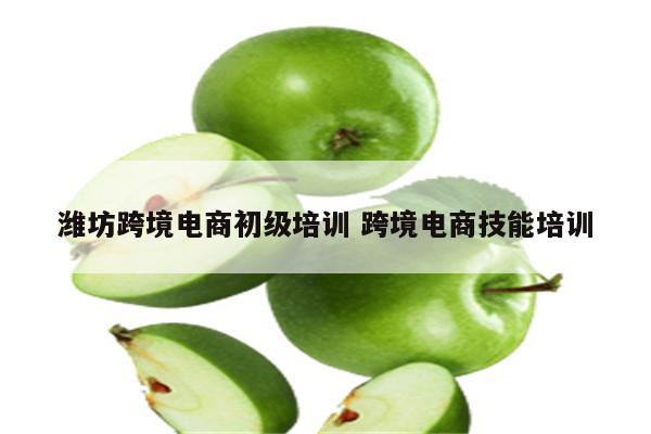 潍坊跨境电商初级培训 跨境电商技能培训