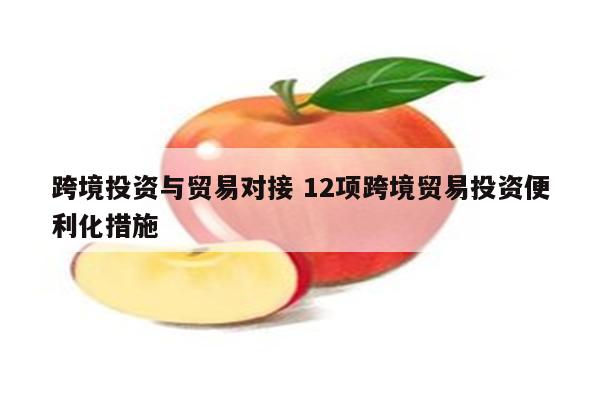 跨境投资与贸易对接 12项跨境贸易投资便利化措施