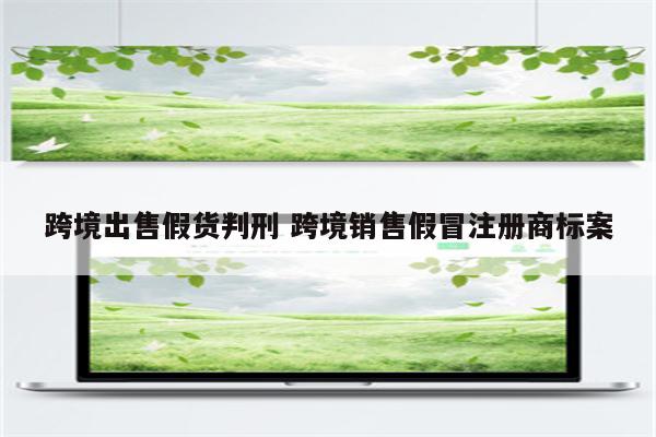跨境出售假货判刑 跨境销售假冒注册商标案