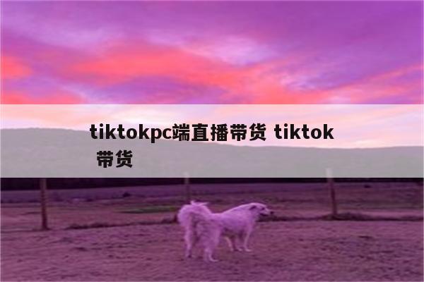 tiktokpc端直播带货 tiktok 带货