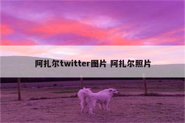 阿扎尔twitter图片 阿扎尔照片