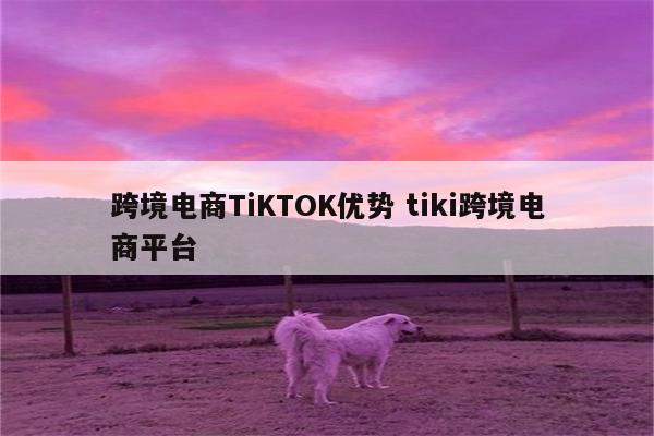 跨境电商TiKTOK优势 tiki跨境电商平台