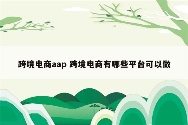 跨境电商aap 跨境电商有哪些平台可以做