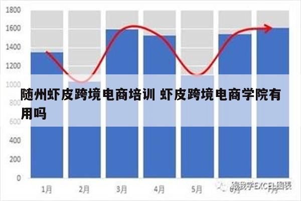 随州虾皮跨境电商培训 虾皮跨境电商学院有用吗