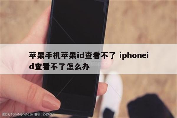 苹果手机苹果id查看不了 iphoneid查看不了怎么办