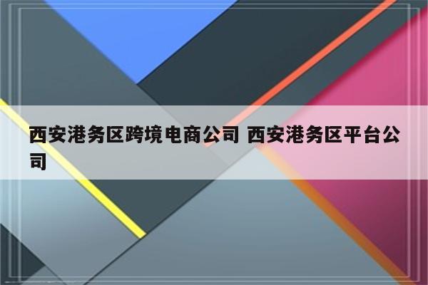 西安港务区跨境电商公司 西安港务区平台公司
