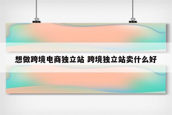 想做跨境电商独立站 跨境独立站卖什么好