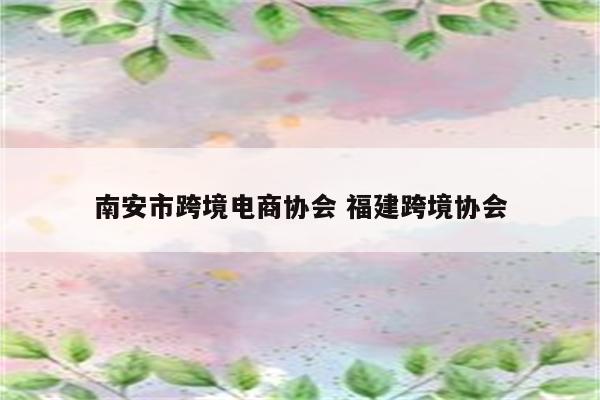 南安市跨境电商协会 福建跨境协会