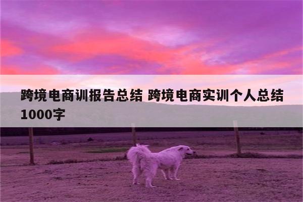 跨境电商训报告总结 跨境电商实训个人总结1000字