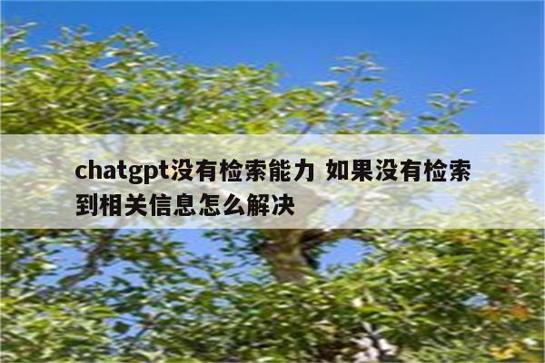 chatgpt没有检索能力 如果没有检索到相关信息怎么解决