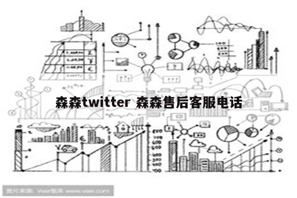 森森twitter 森森售后客服电话