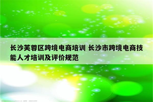 长沙芙蓉区跨境电商培训 长沙市跨境电商技能人才培训及评价规范