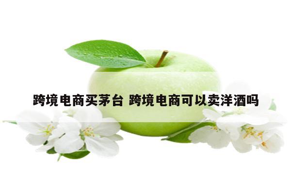 跨境电商买茅台 跨境电商可以卖洋酒吗