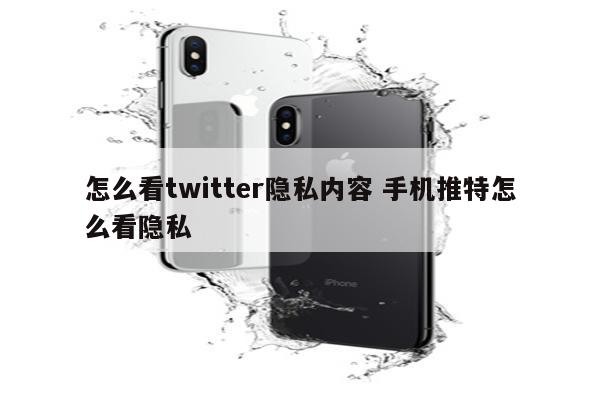 怎么看twitter隐私内容 手机推特怎么看隐私