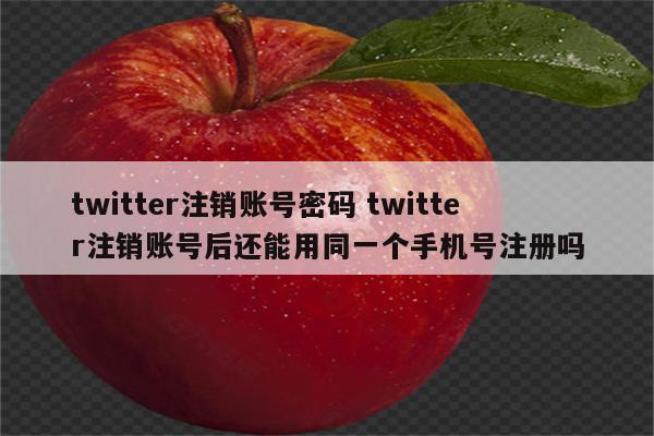 twitter注销账号密码 twitter注销账号后还能用同一个手机号注册吗