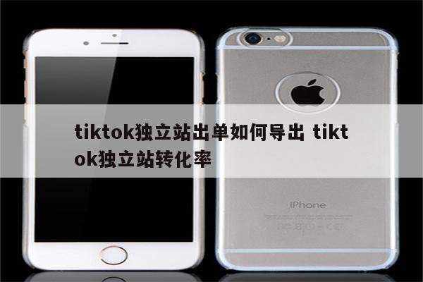 tiktok独立站出单如何导出 tiktok独立站转化率