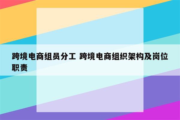 跨境电商组员分工 跨境电商组织架构及岗位职责