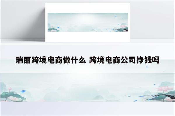 瑞丽跨境电商做什么 跨境电商公司挣钱吗